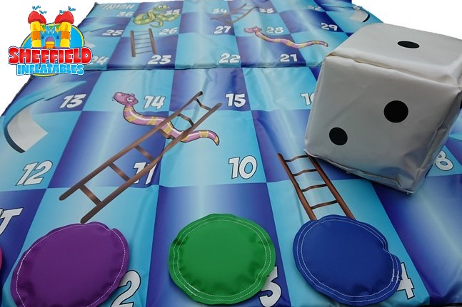 A picture of our snakes and ladders for hire