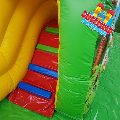 Ladders in the play arena